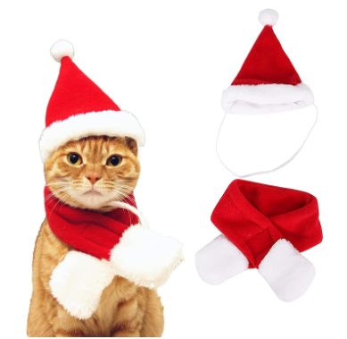 2-Piece Pet Santa Costume Set: Hat and Cape for Cats & Small Dogs