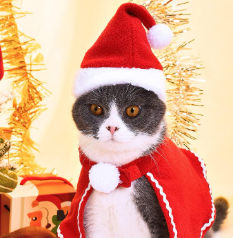 2-Piece Pet Santa Costume Set: Hat and Cape for Cats & Small Dogs