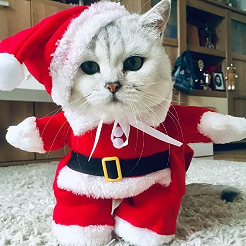 Santa Pet Christmas Costume for Dogs & Cats