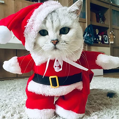 Santa Pet Christmas Costume for Dogs & Cats